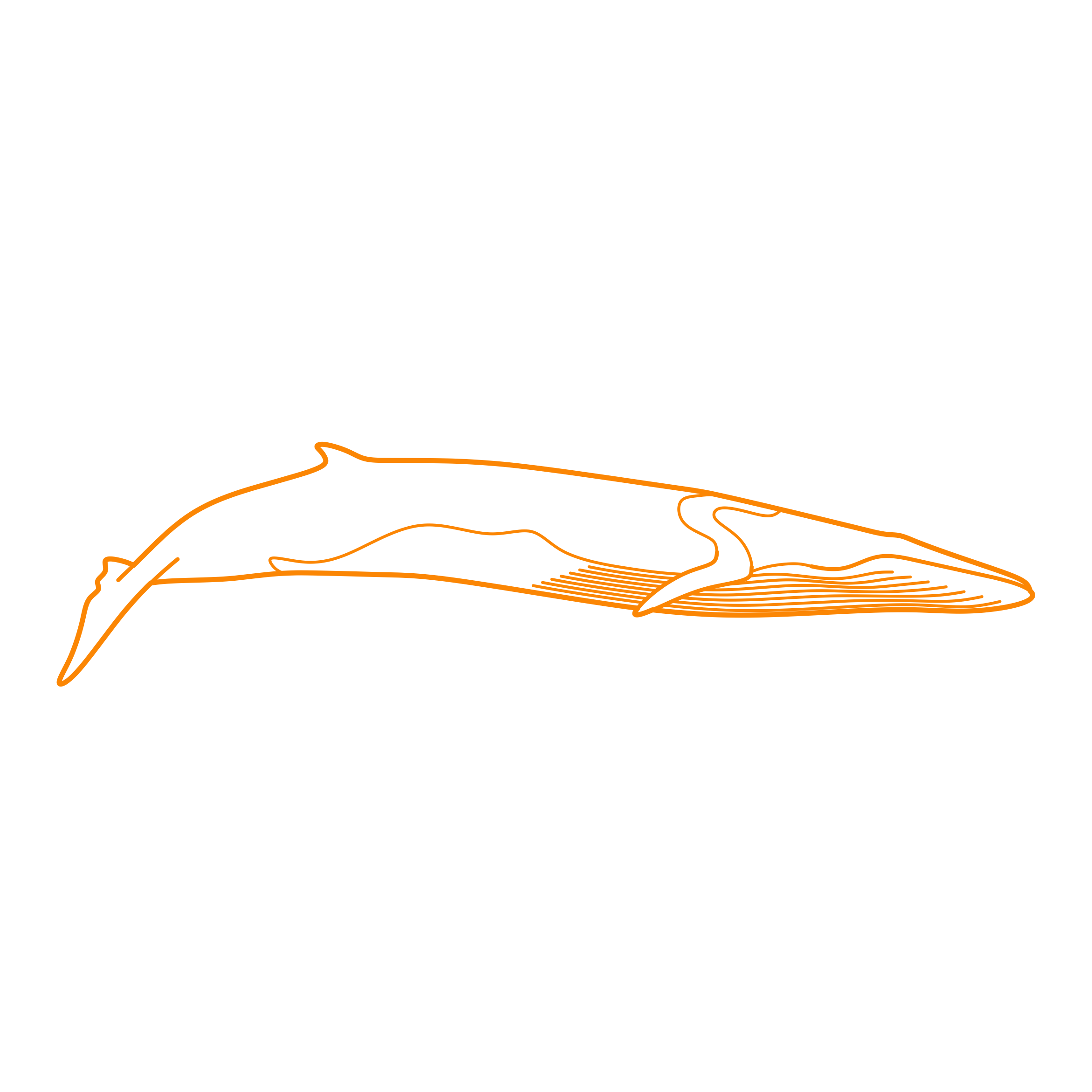 Animals Baleen Whales Fin Whale Stencil Svg Design File Free Vectors
